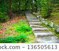 綠樹環繞的石階 136505613