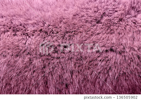 close-up of pink fur close-up of pink fur 136505902