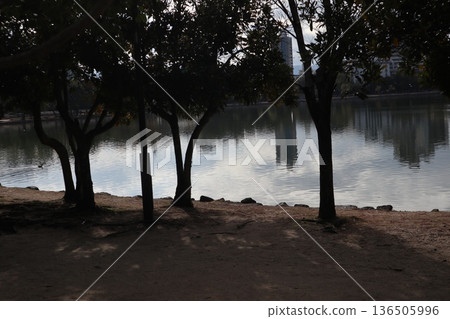 2024, Fukuoka, Fukuoka City, Landscape, Chuo Ward, Ohori Park, Ohori Park, Part 13 136505996