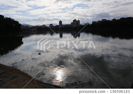 2024, Fukuoka, Fukuoka City, Landscape, Chuo Ward, Ohori Park, Ohori Park, Part 15 2024, Fukuoka, Fukuoka City, Landscape, Chuo Ward, Ohori Park, Ohori Park, Part 15 136506183