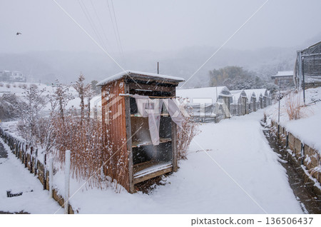 冬季,羽田野市北谷町的雪景鄉村風景 冬季,羽田野市北谷町的雪景鄉村風景 136506437