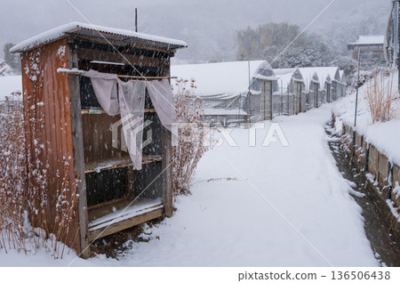 冬季,羽田野市北谷町的雪景鄉村風景 冬季,羽田野市北谷町的雪景鄉村風景 136506438