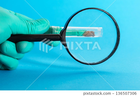 A laboratory technician's hand holds a test tube with stool biomaterial on a blue background under a magnifying glass for analysis of pancreatic elastase and infections. Copy space for text 136507306
