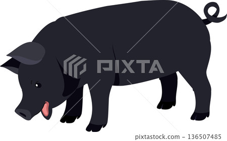 Stylized domestic black pig representing livestock and rural farm life,side view.  for agriculture projects 136507485