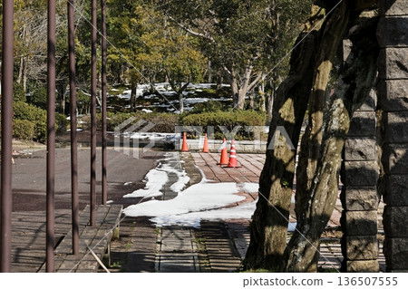 Snow-covered park approach Snow-covered park approach 136507555