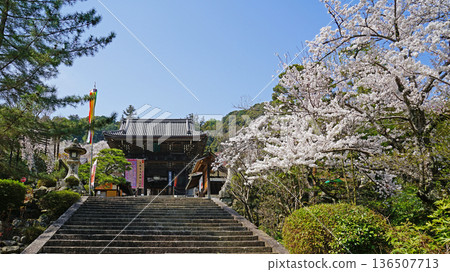 Hase-ji Temple櫻花奈良縣 136507713