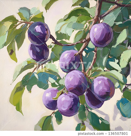 Vibrant purple plums hanging on a branch surrounded by lush green leaves in a bright setting 136507801