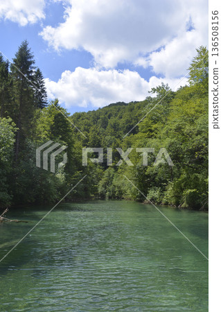 Pristine River Flowing Through Lush Green Forest in Kamacnik Pristine River Flowing Through Lush Green Forest in Kamacnik 136508156