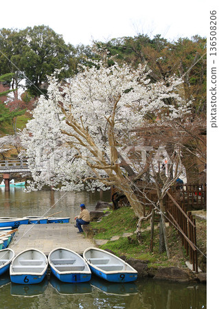 奈良縣浮見戶櫻花 136508206
