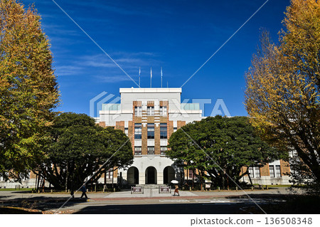 Autumn leaves of Shiinoki Guest House Autumn leaves of Shiinoki Guest House 136508348