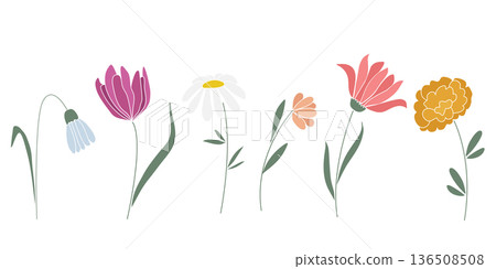 Hand drawn beautiful single flowers 136508508