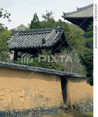 奈良公園東大寺櫻花 奈良公園東大寺櫻花 136508584