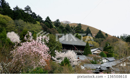Nara Park Todaiji Temple Cherry Blossoms Nara Park Todaiji Temple Cherry Blossoms 136508618