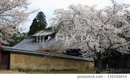 奈良公園東大寺櫻花 奈良公園東大寺櫻花 136508654