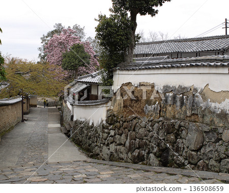 奈良公園東大寺櫻花 奈良公園東大寺櫻花 136508659