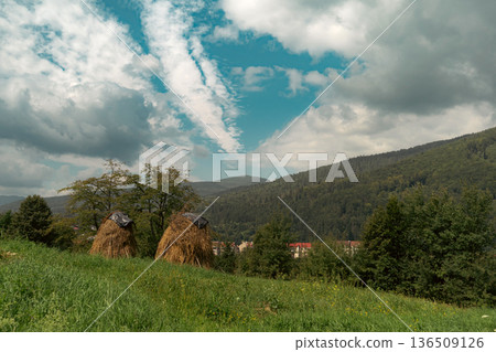Haystacks on Green Meadow with Mountain Forest and Dramatic Clouds 136509126