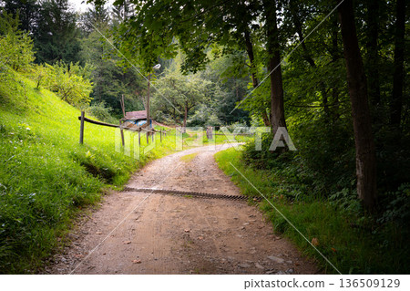 Country Dirt Road Through Green Forest and Rural Landscape Country Dirt Road Through Green Forest and Rural Landscape 136509129