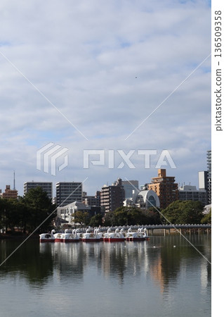 2024年,福岡,福岡市,景觀,中央區,大濠公園,大濠公園,第24部分 2024年,福岡,福岡市,景觀,中央區,大濠公園,大濠公園,第24部分 136509358