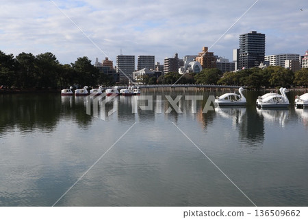 2024, Fukuoka, Fukuoka City, Landscape, Chuo Ward, Ohori Park, Ohori Park, Part 26 2024, Fukuoka, Fukuoka City, Landscape, Chuo Ward, Ohori Park, Ohori Park, Part 26 136509662
