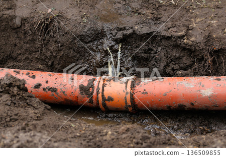 Water Main Pipe Leak. A close-up shot of a major leak in an orange underground water main pipe, with water spraying out from a joint into a muddy trench. a sewer pipe that has burst 136509855