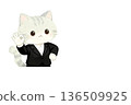 Business Cat Character Series | OK, Approval, Success Image (White Background, Copy Space Available) 136509925