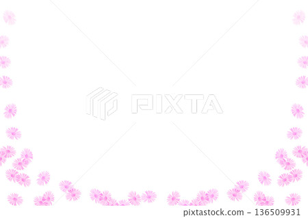 Dark blue frame with pink purple aster flowers Dark blue frame with pink purple aster flowers 136509931