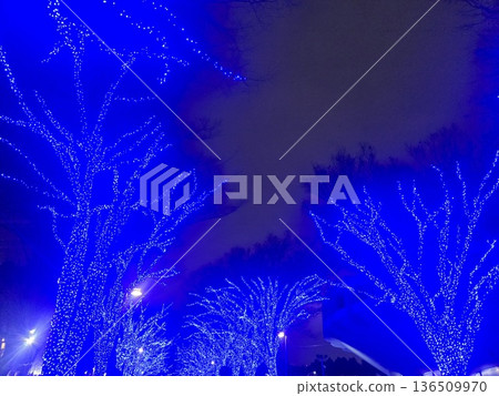 Christmas illumination Christmas illumination 136509970