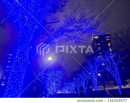 Christmas illumination Christmas illumination 136509977