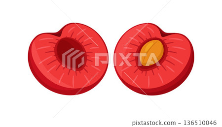 Two cherry halves one with stem and pit, and one without. Hand drawn flat style 136510046