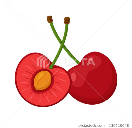 Whole red cherry and half cherry with pit and pulp. Hand drawn trendy flat style Whole red cherry and half cherry with pit and pulp. Hand drawn trendy flat style 136510048