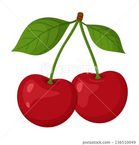 Two ripe red cherries joined by single stem with green leaf. Hand drawn trendy flat style Two ripe red cherries joined by single stem with green leaf. Hand drawn trendy flat style 136510049