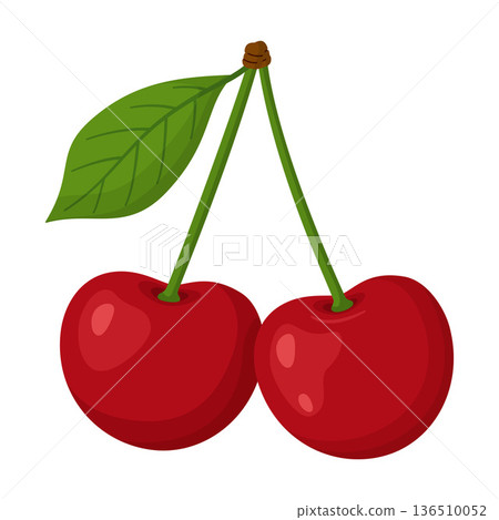 Two ripe red cherries joined by single stem with green leaf. Hand drawn trendy flat style 136510052