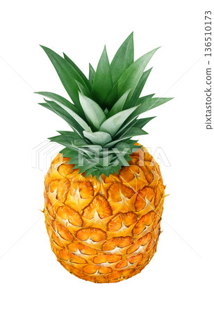 Pineapple illustration pineapple realistic 136510173