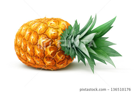 Pineapple illustration pineapple realistic Pineapple illustration pineapple realistic 136510176