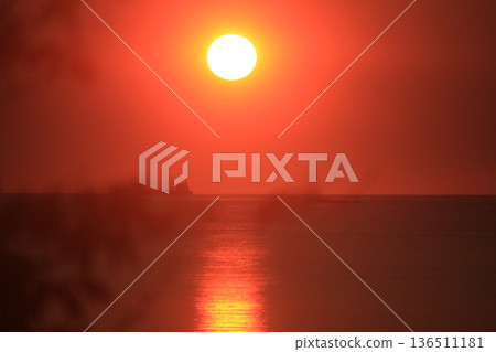 太陽路 太陽路 136511181