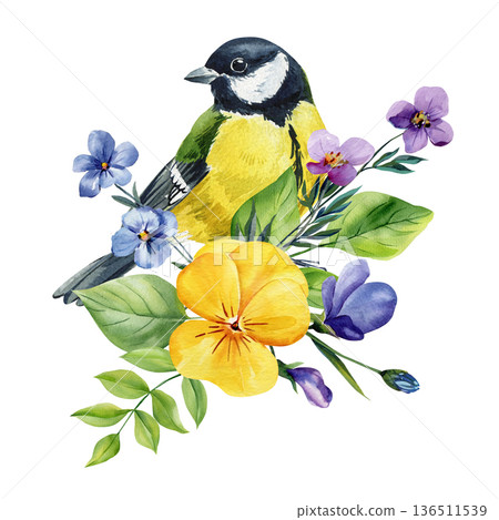 Great tit bird with yellow pansy and violet flowers watercolor illustration isolated on white spring botanical clipart 136511539