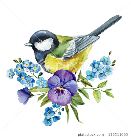 Great tit bird with pansy and forget me not flowers watercolor illustration isolated on white spring wildflower clipart 136511603