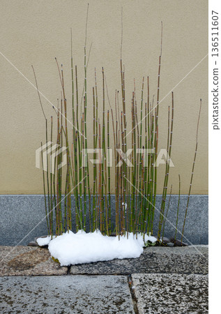 Street corner scenery sketch photo Street corner scenery sketch photo 136511607