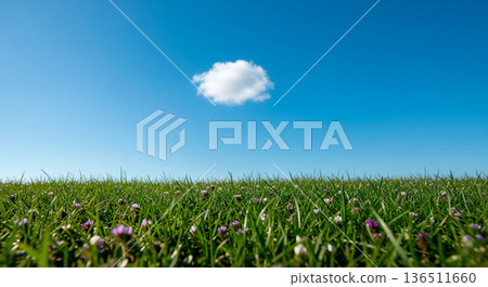 Vast blue sky with a single fluffy white cloud over a vibrant green meadow with small purple flowers 136511660