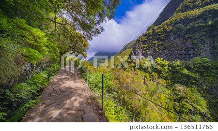 Levada do Risco, Madeira, Portugal 136511766