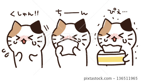 Cat with hay fever Cat with hay fever 136511965