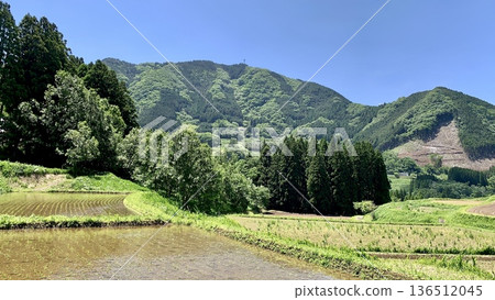 Fresh green Tochimata rice terraces shining against the clear blue sky of May (Takachiho Town, Nishiusuki District, Miyazaki Prefecture) Fresh green Tochimata rice terraces shining against the clear blue sky of May (Takachiho Town, Nishiusuki District, Miyazaki Prefecture) 136512045