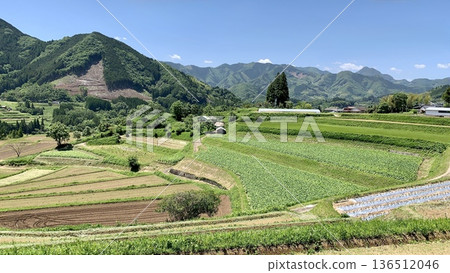 五月,翠綠的栃俁梯田在湛藍的天空下閃閃發光(宮崎縣西須岐郡高千穗町) 五月,翠綠的栃俁梯田在湛藍的天空下閃閃發光(宮崎縣西須岐郡高千穗町) 136512046