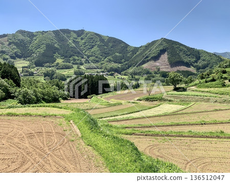 五月,碧空如洗,映襯著翠綠的栃俁梯田(宮崎縣西須木郡高千穗町) 五月,碧空如洗,映襯著翠綠的栃俁梯田(宮崎縣西須木郡高千穗町) 136512047