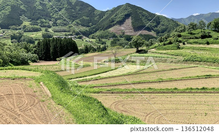 五月,碧空如洗,映襯著翠綠的栃俁梯田(宮崎縣西須木郡高千穗町) 五月,碧空如洗,映襯著翠綠的栃俁梯田(宮崎縣西須木郡高千穗町) 136512048