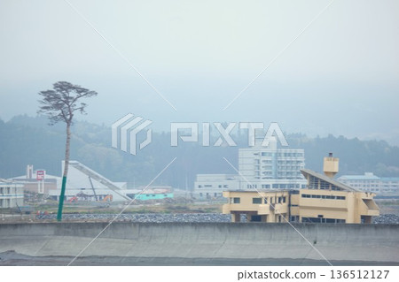 Scars of the Great East Japan Earthquake 1205 11 136512127