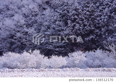 白雪覆蓋的木頭 136512170