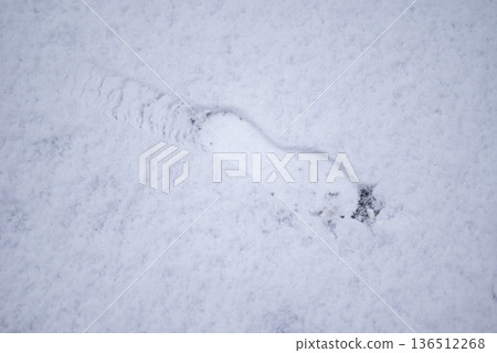 Snow, heavy snow, footprints, human, snow accumulation, cold wave, January, image 136512268