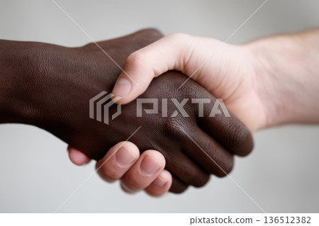 Two hands meet in a firm handshake, symbolizing unity and understanding between different cultures and backgrounds Two hands meet in a firm handshake, symbolizing unity and understanding between different cultures and backgrounds 136512382