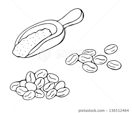 Hand Drawn Coffee Beans with Scoop Minimal Line Illustration 136512464